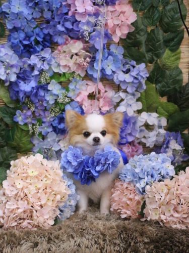 20250613りくくん